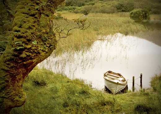 salmon pool ireland